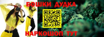 гашик Дубна